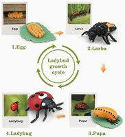 Juguetes Educativos para el Aprendizaje del Ciclo de Vida, Juguetes Montessori, Figuras de Rana, Mariposa, Mariquita, Kit de Plantas, Regalo para Niña y Niño