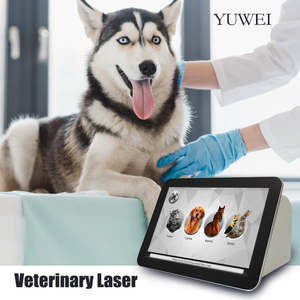 <span class=keywords><strong>Laser</strong></span> chirurgical vétérinaire YUWEI VT101 pour la thérapie de la douleur, 15W/30W, 980nm, classe III, certifié <span class=keywords><strong>CE</strong></span>, équipement de physiothérapie, longue durée de vie - Product Image 1