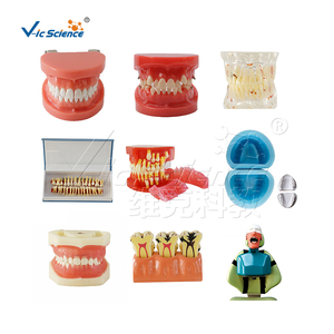 28 pz staffa artificiale tutta <span class=keywords><strong>Ortho</strong></span> ceramica modello dente medicale denti Nissin modello - Product Image 3