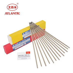 ATLANTIC 2024 Prix usine Électrode <span class=keywords><strong>de</strong></span> soudage flexible en plastique solide standard CHS157Mn E307-15 pour fonte, 5kg ISO9001 - Product Image 5