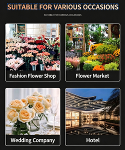 Vitrine Réfrigérée Professionnelle Plein Écran pour Fleurs, Sans Givre, Refroidissement par Air, Haute Définition, pour Fleuriste, Usage Commercial - Product Image 6