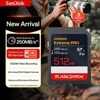 Kartu Flash SanDisk PRO Asli 100% Micro Card 4K V30 U3 C10 512GB Cocok untuk Penyimpanan Kamera 4K