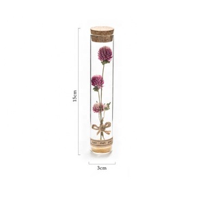 <strong>Mini</strong> Real <strong>Dried</strong> <strong>Flowers</strong> for Weddings Christmas Parties Easter Valentine's Day Mother's Day for Friend Gifts Wholesale - Product Image 2