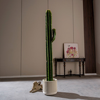Cactus artificiel en pot, décoration de salon, bonsaï tropical du désert, boule de cactus artificielle d'intérieur