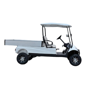 Camioneta Eléctrica con Caja de Carga, Buggy Eléctrico de Golf con Controlador de 48v, Sistema de Plomo-Ácido - Product Image 5