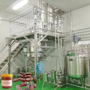 En kaliteli 500 kg/saat tarihleri suyu şurubu işleme tesisi tarihleri macun yapma makinesi - Product Image 2