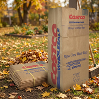 Sac en papier kraft biodégradable avec cordon de serrage, emballage écologique personnalisé pour la collecte des déchets de jardin