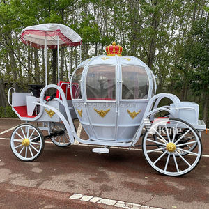 Chariot de tourisme de type chariot de cheval blanc avec lampes en forme de cheval au galop, chariot de cheval rouge haut de gamme - Product Image 5