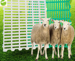 Plancher à lattes en plastique 1000*500*42mm pour l'élevage de moutons de chèvre <span class=keywords><strong>Prix</strong></span> de gros Plancher à lattes en plastique pour l'élevage de moutons de chèvre - Product Image 5