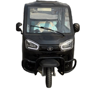 Tricycle électrique entièrement fermé de bonne qualité à bas <span class=keywords><strong>prix</strong></span>, fabriqué en Chine, pour usage domestique, transport adulte, 1000W - Product Image 1