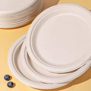 Disques de bagasse jetables personnalisables de 9 pouces 10 pouces Vaisselle Assiette en papier de qualité alimentaire pour aliments chauds pour biscuits Salade Sucre Snack - Product Image 3
