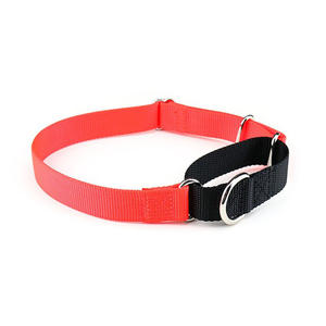 <span class=keywords><strong>Collar</strong></span> de entrenamiento de nailon reflectante duradero sin estrangulamiento ajustable de seguridad para mascotas Martingale de nailon para perros pequeños, medianos y grandes - Product Image 5