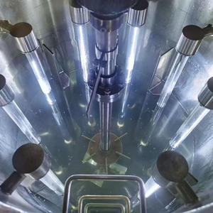 Bailun acier inoxydable Photobioréacteur fermenteur pompe PLC contrôlé système automatique 5L ~ 200KL Volume pour la culture végétale - Product Image 6