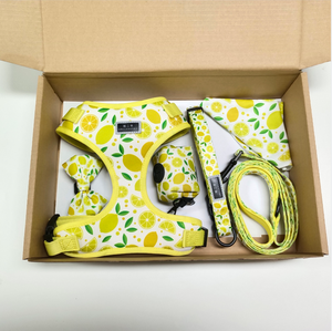 Benutzer definierte Box Hund Produkt verstellbare Hunde geschirr Weste Premium Hunde geschirr accesorios para mascotas correas para perros y gatos - Product Image 2