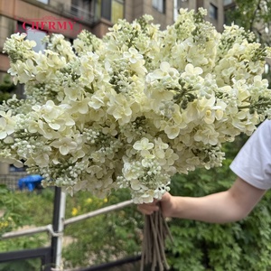 DC179 Hortensia Artificial de Seda Blanca Crema al por Mayor, Tallo Largo, Forma de Cono, para Decoración Floral de Bodas - Product Image 6