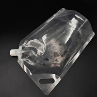 Sac à eau transparent avec bec verseur, OEM en gros, personnalisé, 750 ml, poche à eau en plastique pliable portable