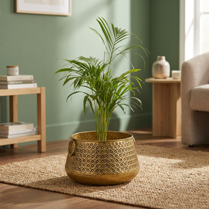 Les mini jardinières suspendues en métal à la mode élèvent votre jardin et votre maison avec des conceptions élégantes pour l'usage de plancher de balcon et de salon - Product Image 5