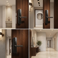 Serrure Intelligente Baodeli pour Porte en Bois, WIFI, Carte Mémoire, Déverrouillage par Mot de Passe/Empreinte Digitale/Lecture de Carte, Verre Trempé, Alliage d'Aluminium, Grade C