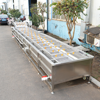 Industriële bubbelwasmachine voor fruit en groenten, ozonreiniger, zwaar gebruik