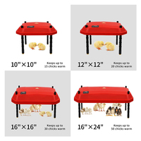 Réchauffeur de couveuse électrique 110V 220V pour plaque chauffante de couveuse de poulet poussin certifié CE