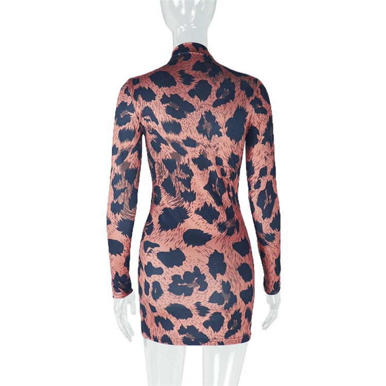 Women Leopard Print 2025 Spring Hipster Fashion Full Sleeve