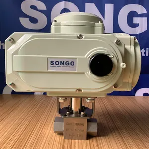 40Mpa DN32 110V AC Forged Stainless Steel 316 Electric Actuator 5000 PSI High Pressure 3 way Motorized electronic Ball Valve