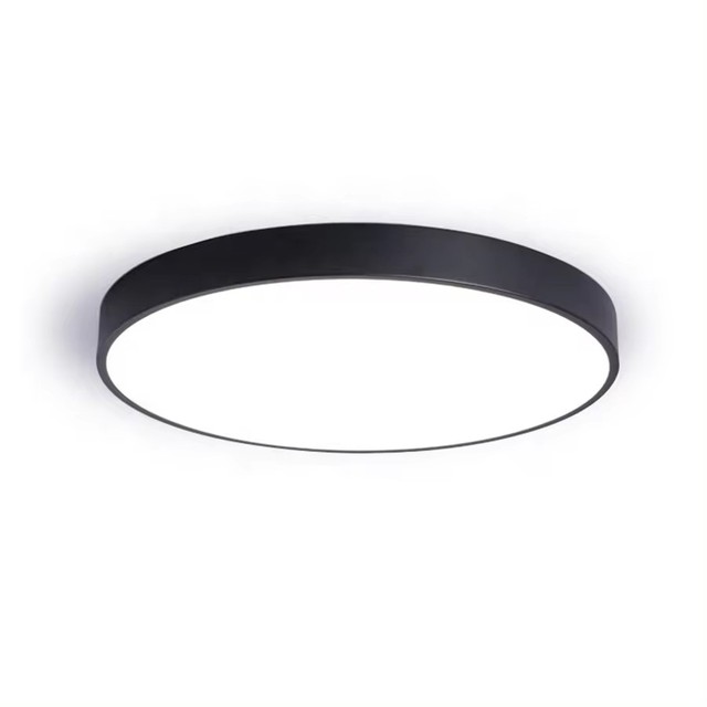 Shaped LED Circular Acrylic Ceiling Lights Production of Modern Iron Customized LED Strip Metal Lamp / 0.5mm IP54