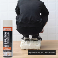 Mousse de polyuréthane polyvalente OEM 750 ml en gros pour montage et étanchéité