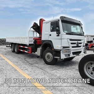 Camión grúa americano de 30 toneladas de capacidad de carga nominal, componentes principales: caja de cambios, motor, cojinetes - Product Image 3