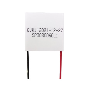 ชิปทำความเย็นแบบเซมิคอนดักเตอร์ทั่วไป SP3030060L1 เครื่องทำความเย็นเทอร์โมอิเล็กทริก ปั๊มความร้อนแบบโซลิดสเตต ระบบทำความเย็นพื้นที่ขนาดเล็ก - Product Image 2