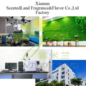 Parfum de jasmin pour les capsules et la poudre de lessive, longue durée dans le cycle de rinçage, fournisseur certifié Gold, fabricant - Product Image 2