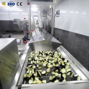 Freidora Industrial Eléctrica Automática Continua para Cubos de Calabaza, Pimientos, Vegetales y Frutas con Revestimiento en Harina - Product Image 1