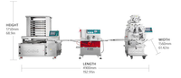 Machine à Maamoul Automatique avec Estampage de Motifs Personnalisés, Moule en Acier Inoxydable 304, Équipement de Fabrication de Pâtisseries Fourrées à la Dattille