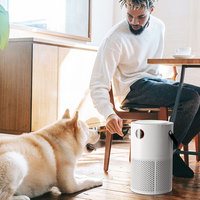 Purificateur d'air domestique électrique 10000mAh, rechargeable par USB, portable, filtre HEPA H13 avec aromathérapie, en plastique, best-seller