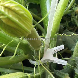 Un outil indispensable pour les planteurs de vignes Clips robustes durables et ravissants Clips de support de croissance de vigne de Fruits - Product Image 3