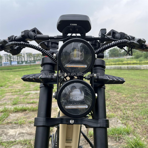 Vélo électrique populaire 2026, vélo à pneus gras, batterie au lithium 1200w, pneus gras de 20*4 pouces, vélo électrique pour la chasse et <span class=keywords><strong>les</strong></span> hommes grands - Product Image 4