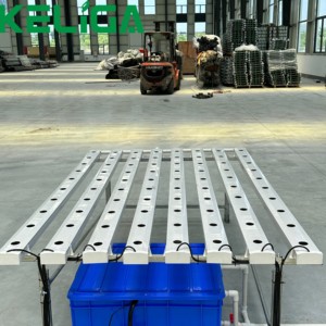 Système de culture hydroponique NFT bon marché Projet clé <span class=keywords><strong>en</strong></span> <span class=keywords><strong>main</strong></span> de légumes Green House Channel Square PVC Pipe Système hydroponique vertical - Product Image 3