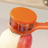 Multifunctionele handmatige roestvrijstalen wortel- en groentesnijder met plastic opbergdoos voor gebruik in de keuken