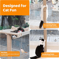 WDF Étagères de fenêtre pour chat en bois griffoir perchoir de lit surélevé robuste nid pour animaux de compagnie meubles d'intérieur pour hamac amusant pour chat