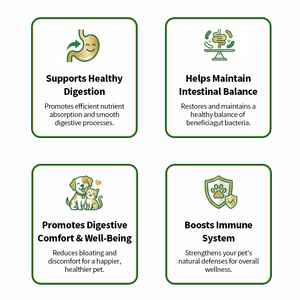 مكمل غذائي طبيعي للحيوانات الأليفة، بروبيوتيك على شكل قطع طرية للكلاب والقطط، لدعم صحة الجهاز الهضمي والأمعاء - Product Image 4