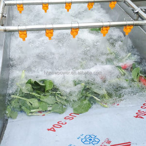 Commercial Large Capacity Tomato Cucumber Cleaning and <b>Drying</b> <b>Equipment</b> with CE Certification - Product Image 1