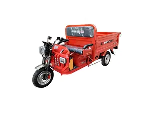 Versão mais recente Qualidade Strong Power 3 roda triciclo elétrico Carga trike rickshaw Triciclo Elétrico para adulto carry goods