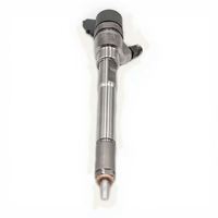 0445110081/ 0 445 110 081 Inyector de Combustible Common Rail, Inyector de Inyección Diesel 0445110231 0445110336 0 445 110 336
