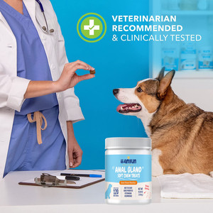 Pastillas para masticar con calabaza para perros, suplemento de fibra de probiotica para perros, con probióticos, de glándula Anal, muestra gratis - Product Image 6