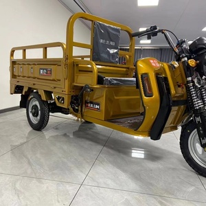 รถสามล้อไฟฟ้าพร้อมระบบไฮดรอลิกอัตโนมัติ กำลังไฟ 1500 วัตต์ ยางใหญ่ บรรทุกสัมภาระได้ - Product Image 3