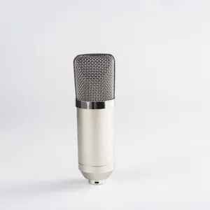 Microphone professionnel à condensateur 48V, avec câble de microphone XLR, 1 pièce