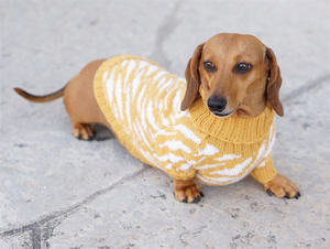 زي كلاب بتصميم الحيوانات الأليفة تشوك, زي كلب نمر ، زي شتوي ، سترة دشوند ، حيوانات مضحكة ، كلب لطيف ، زي داكل وينر - Product Image 5