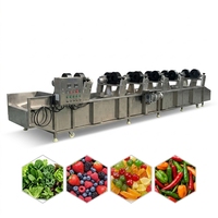 Automatische gaasband droogmachine voor fruit en groenten, industriële uien droogmachine
