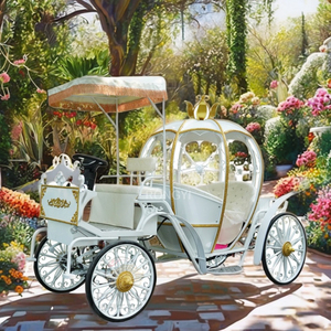 Tourisme Tourisme Chevaux Européens Charrettes Wagon Transport <span class=keywords><strong>Mariage</strong></span> Calèche Électrique - Product Image 2