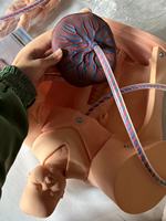 Modèle de formation complète en accouchement avancé, modèle de grossesse, simulateur de naissance, mannequin de formation gynécologique
